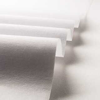 wetlaid nonwoven
